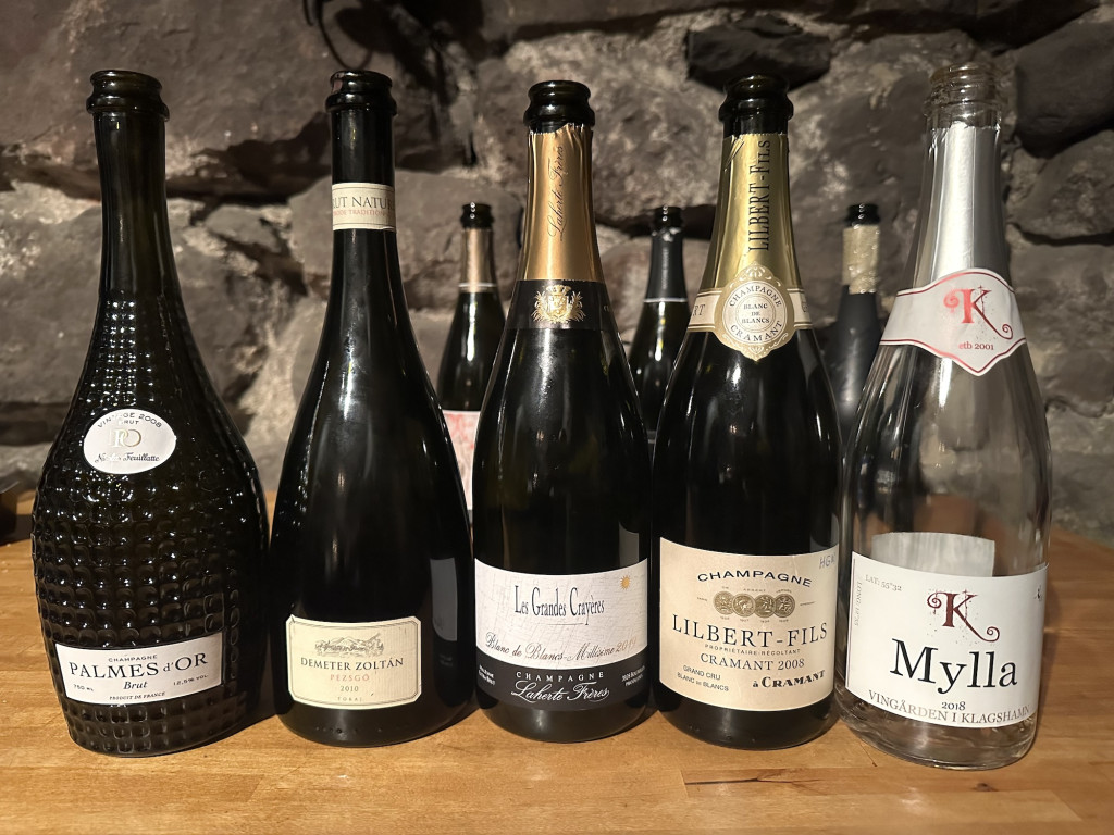 Champagnemys 2023 flight 2